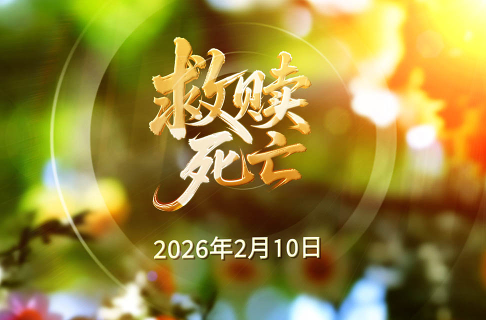 20260210救赎死亡-现场版.mp4