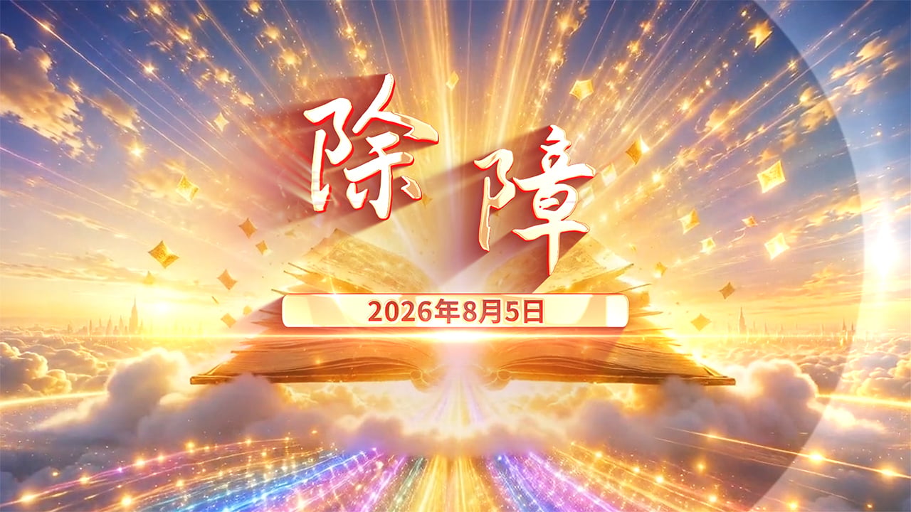 20260805除障-现场版.mp4