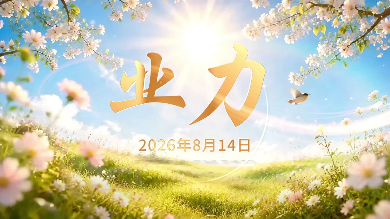 2026年8月14日—业力