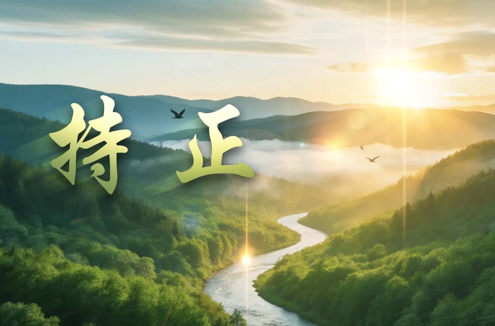 持正  2026-05-08