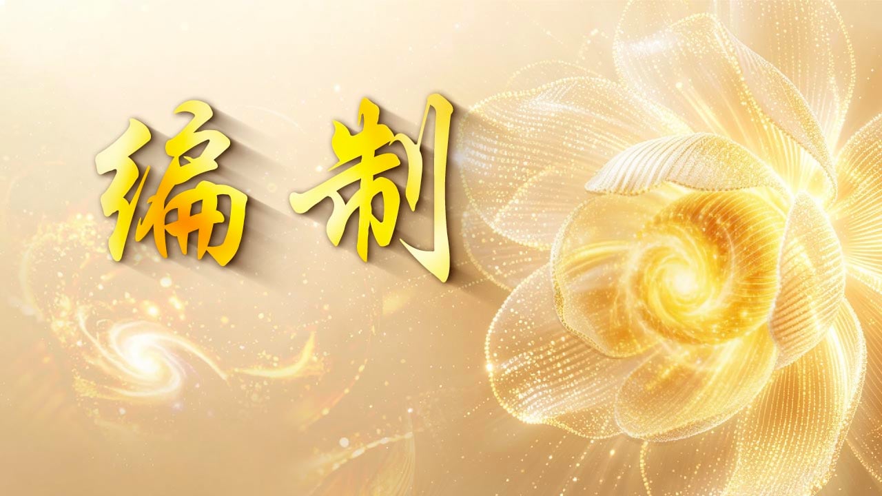 编制 2026-08-20
